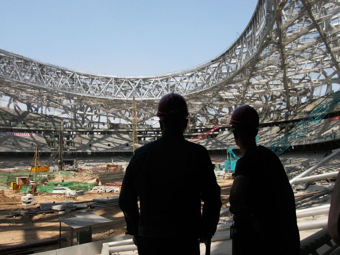 Bird's Nest